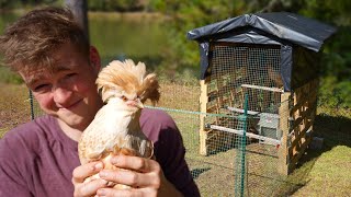 How to Build a Chicken Coop for $50