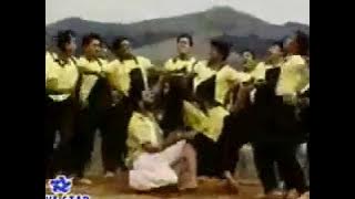 Long & Junior - Bo Ja Tańczyć Chcę ( Parodia )