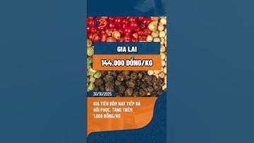 Giá tiêu hôm nay tiếp đà hồi phục, tăng thêm 1.000 đồng/kg