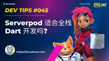 Serverpod 适合全栈 Dart 开发吗? | 独立开发猫哥