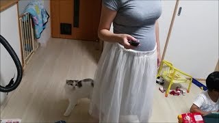 ママがマリオテニスしてるのに甘えに来る白モフ