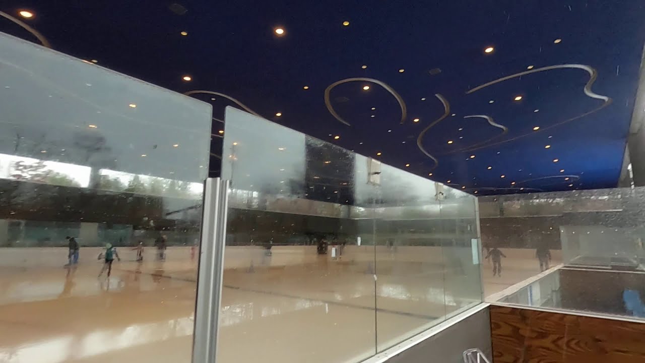 Brooklyn Unedited...Walk Tour at Prospect Park Skating Rink, Brooklyn