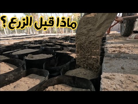 اللمسات الأخيرة للمشتل قبل الزراعة تشطيبات حاسمة قبل وضع البذور بساعات معدودة