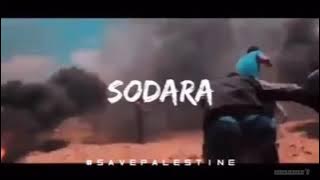 Story wa lirik lagu Palestina 🇵🇸