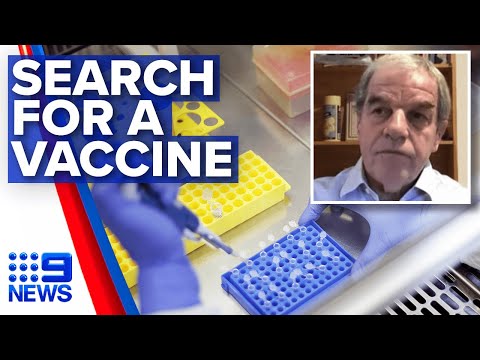 Coronavirus: Searching for a COVID-19 vaccine | Nine News Australia