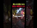 見たら元気になる面白い瞬間まとめ