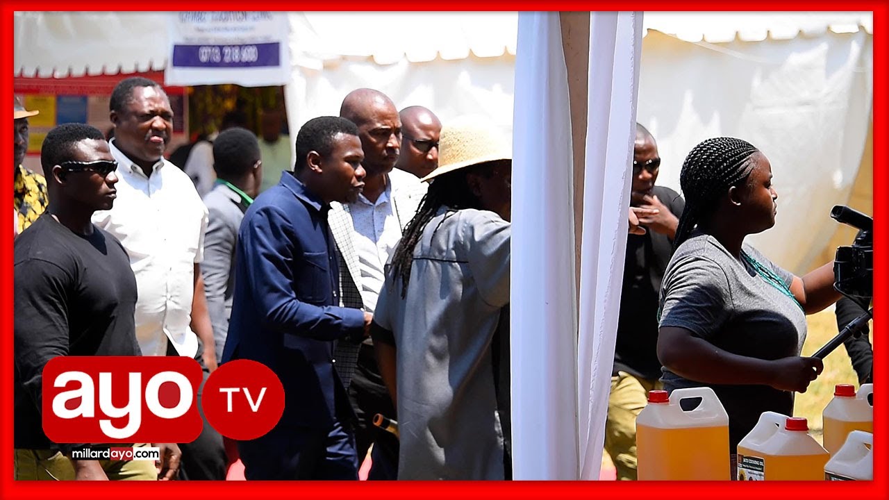 KIJANA ALIYEWEKEZA KWENYE KILIMO TANZANIA NA ANAVYOTOA MIKOPO BURE