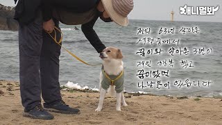 A Good Bye Letter From Grandma To Her Dog She Loves So Much