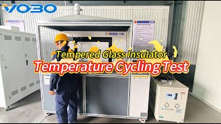 Temperature cycling test for glass insulators