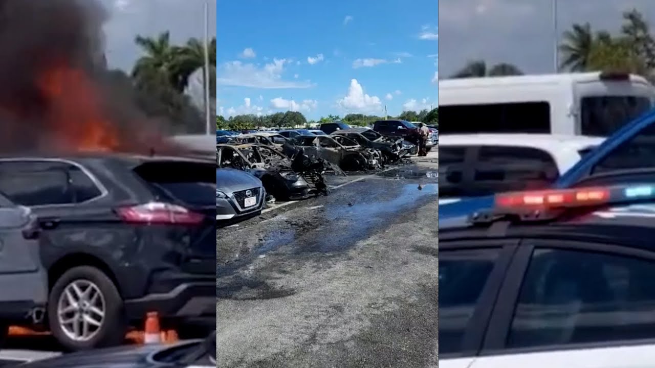 Fire at Dolphins Tailgate Torches Cars! YouTube