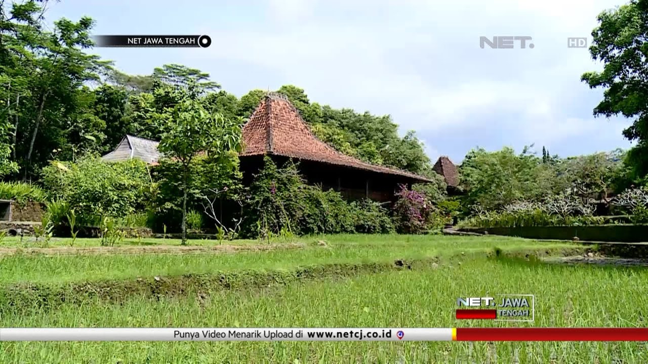 NET JATENG - SAMBANG SEDULUR  RUMAH JOGLO ARSITEKTUR JAWA UNTUK DUNIA