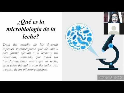 Microbiología de la Leche y sistemas de recolección  comercial de la leche.