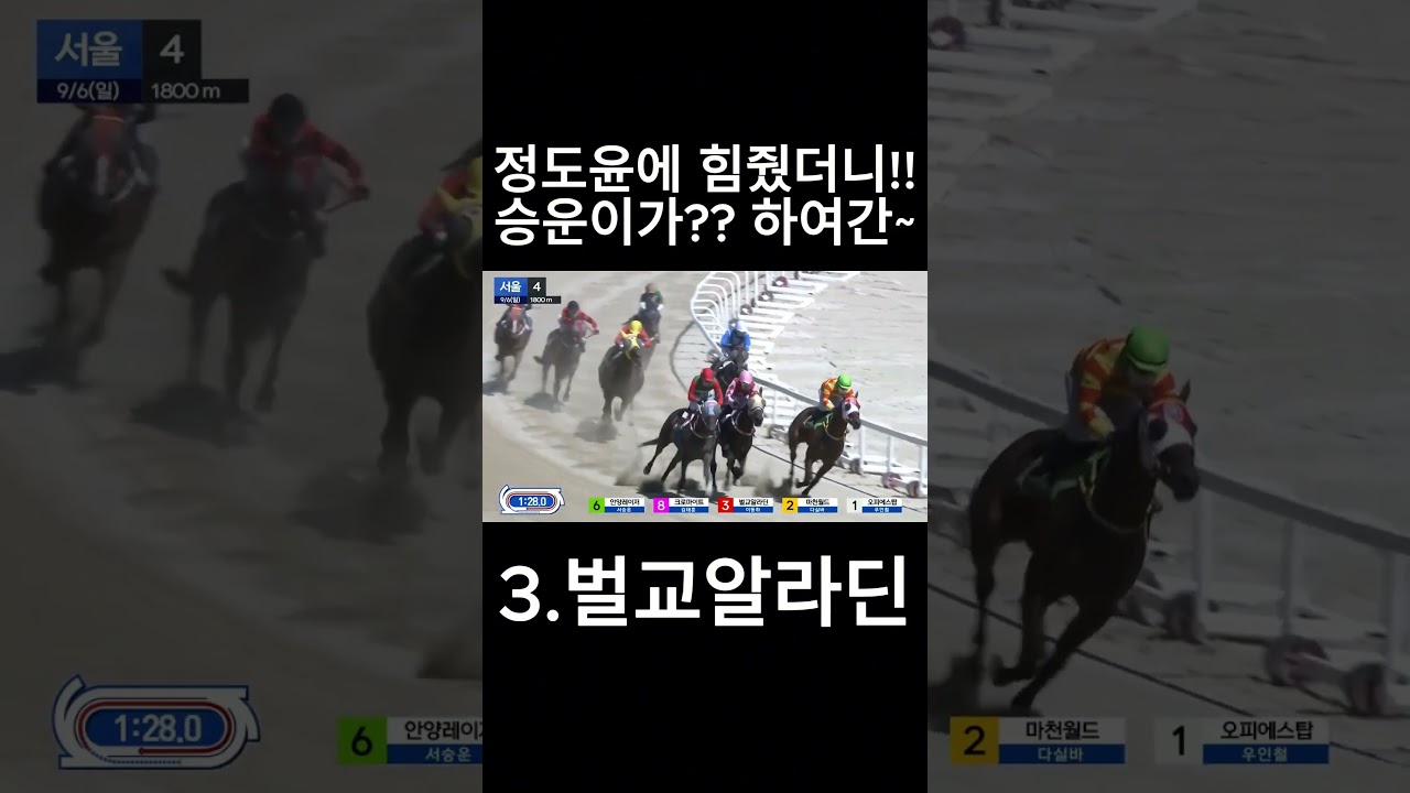 정도윤에 힘줬더니~  승운이가??  #경마  #경마예상  #경마방송  #경마예상방송  #서울경마  #금요경마  #토요경마  #일요경마 #경마장