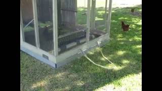 chicken coop moving move