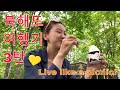 【#37 투병일기】(SUB) 북해도 여행기 3탄ㅣ 더 많이 더 오래 이 시간들을 즐길 수 있기를...