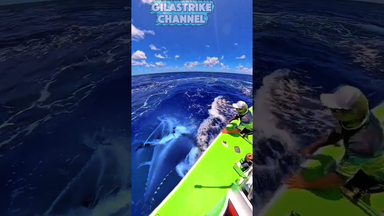 GILA BANGET❗tombak tuna di laut lepas ❗