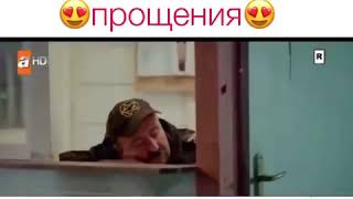 Мило попросили друг у друга😻прощения 😻обиженные цветы