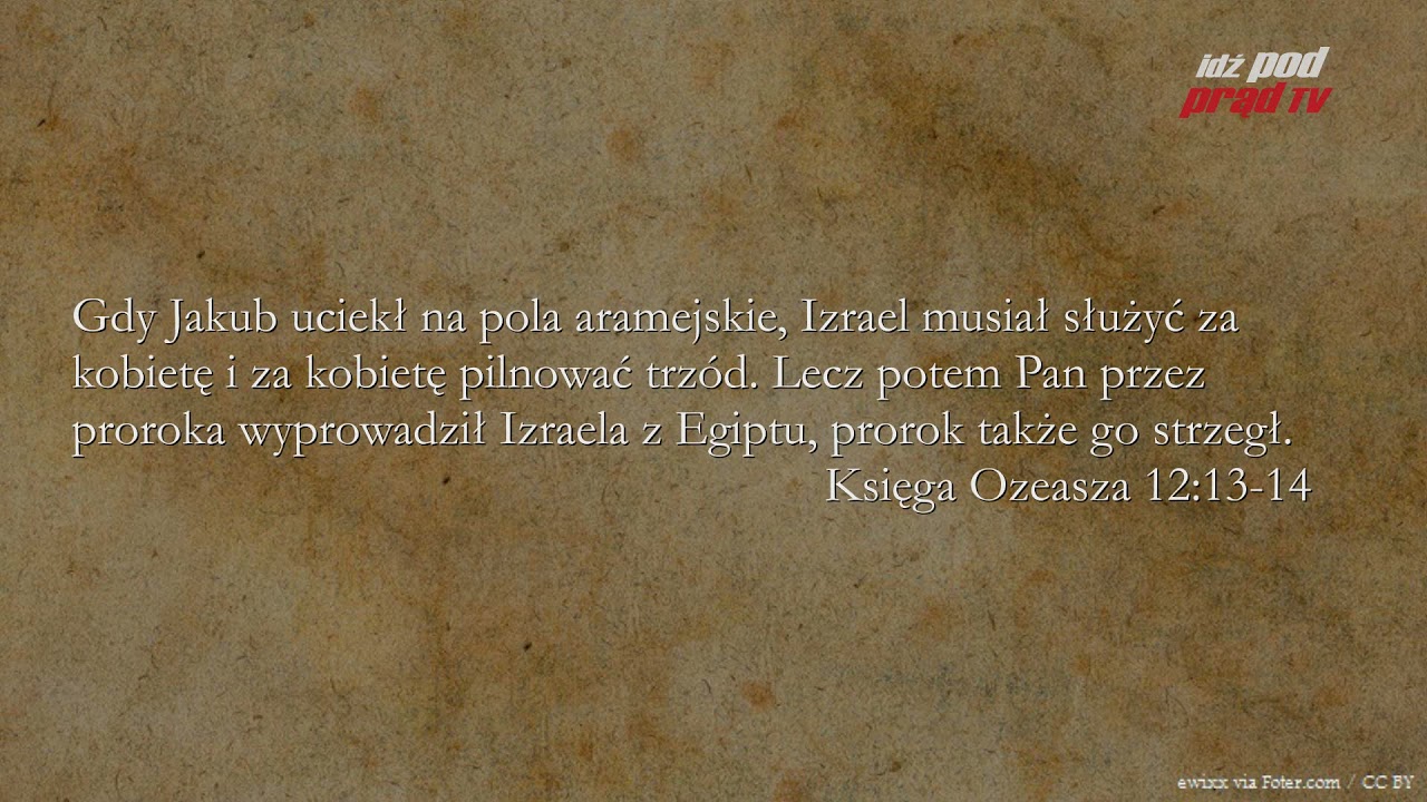 BIBLIA NA CO DZIEŃ: Księga Ozeasza #12 cz.2 episode artwork