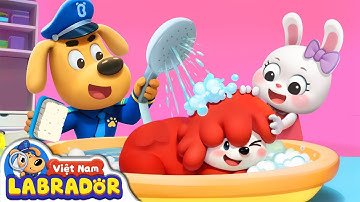 🐶 Labrador học cách chăm sóc thú cưng 👮 Cảnh sát trưởng Labrador Vietnam 🚔