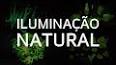 O Mundo Fascinante dos Fungos Bioluminescentes ile ilgili video