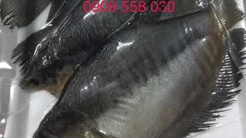 Khô cá sặc đặc sản Cà Mau,mặn mà bữa cơm gia đình Việt