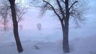 Blizzard 020311 008 by Rosebud64 42 views 13 years ago 1 minute, 45 seconds