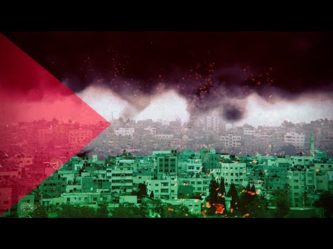 What Nobody Is Saying About Israel & Palestine