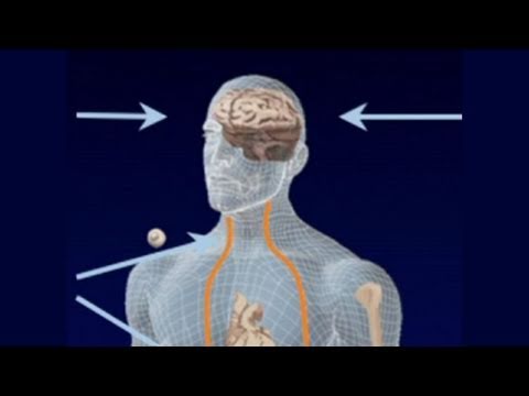 CARTA: The Genetics of Humanness: Katherine Pollard - Human Accelerated Regions in the Genome