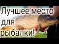 Деревянное озеро 2021. Лучшее место для рыбалки. Путешествие по Казахстану.