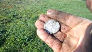 Walking Liberty Half Dollar Found with the White's M6