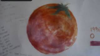 木のスプーンとタイカレー