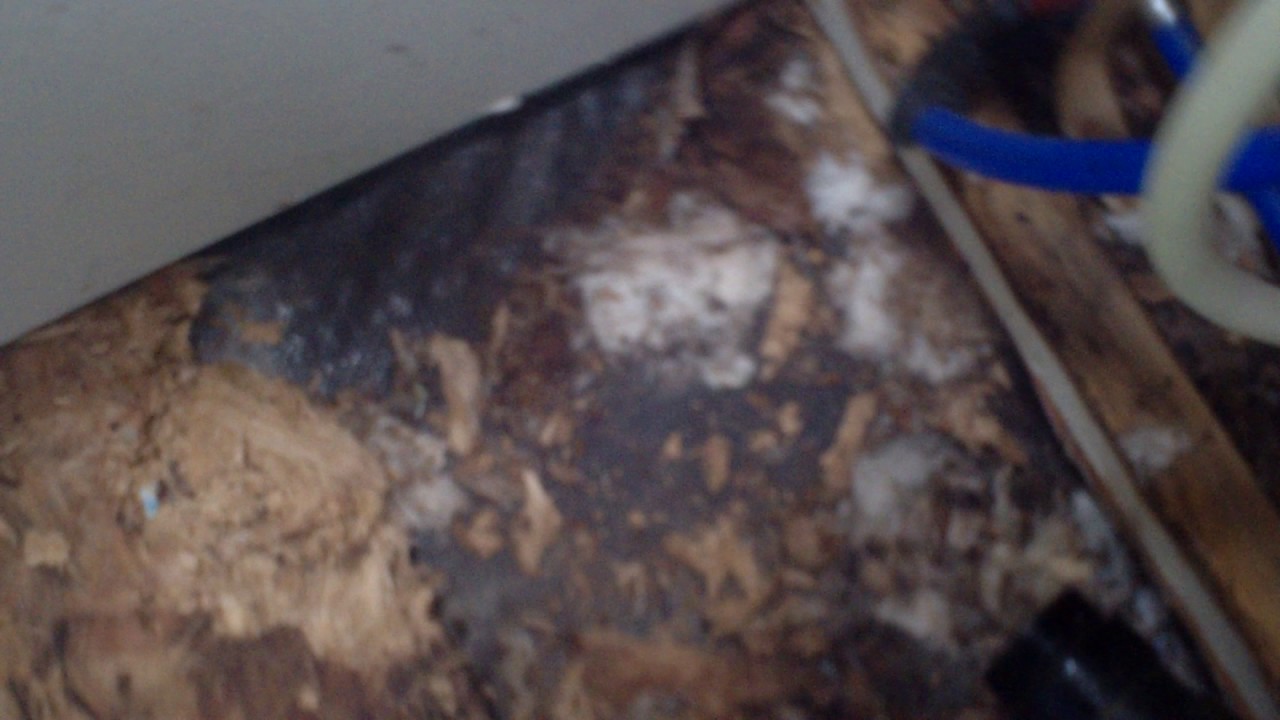 Boat N RV Ridgeland SC Ripoff artists!