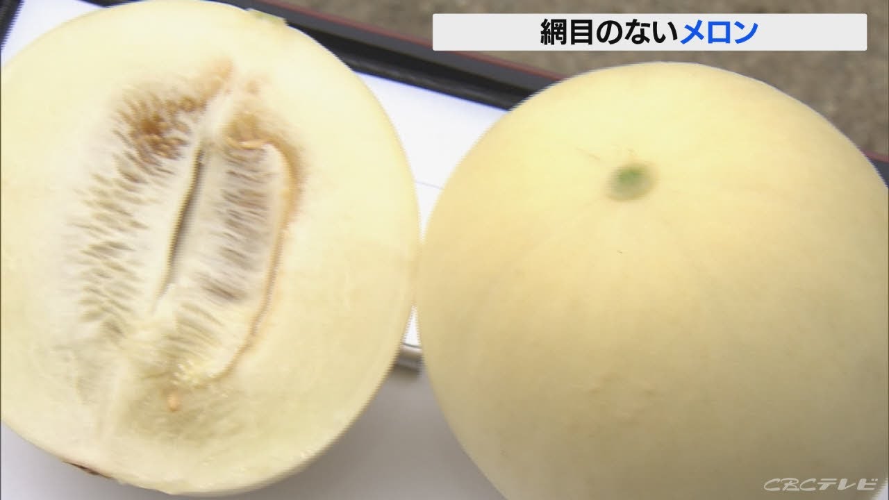 表面に網目のない大きくて甘い ホームランスターメロン 収穫が最盛期 三重 Youtube 表面に網目のない大きくて甘い ホームランスターメロン 収穫が最盛期 三重 Youtube