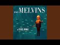 Melvins - (A) Senile Animal