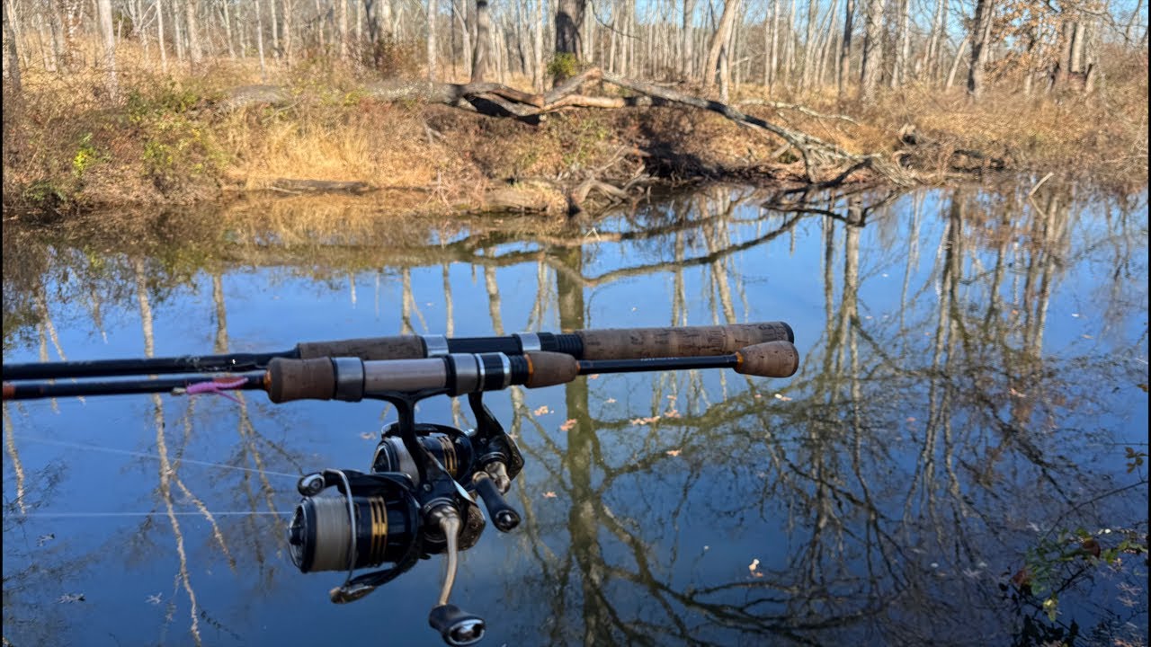 Live fishing from Raritan NJ! 