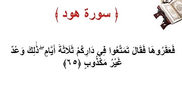 سورة هود الاية 65