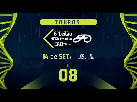 LOTE 08