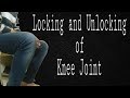 Locking and Unlocking of Knee Joint , 2