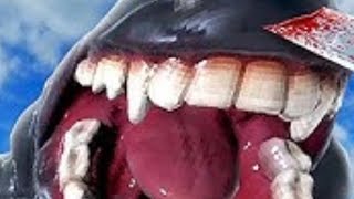 Fighting moby and snapjaw - kaiju battle simulator 