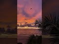 Who would you watch this sunset with? 🌅 Late night grooves #ibiza #sunset #deephouse #shorts
