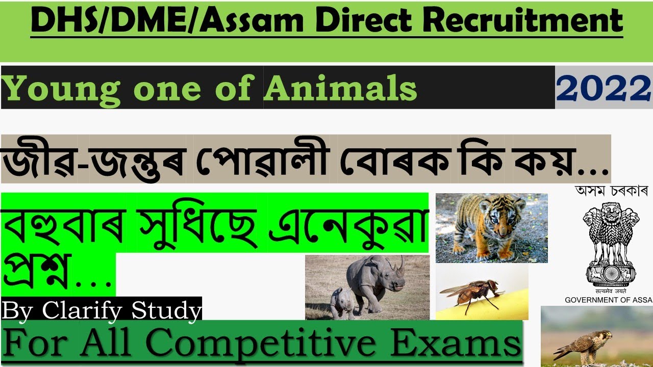 Young one of Animals || Imp 40 MCQ's || DHS/Assam Direct Recruitment || For any Competitive Exams