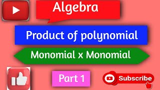 Algebra class 8 product of polynomial ( Monomial x Monomial )