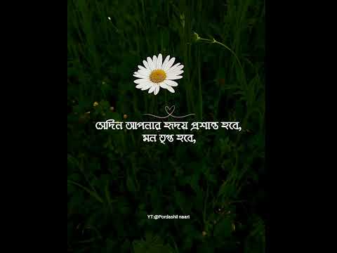 আলহামদুলিল্লাহ 🌱