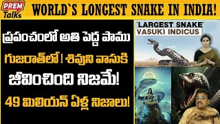 ప్రపంచం లో అతిపెద్ద పాము భారత్ లో ! World's Largest and Biggest Snake found in India! #premtalks