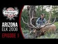 Watch Corey Jacobsen Shoot His Biggest Archery Bull - 390"!