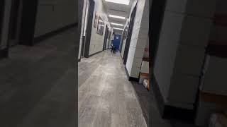 K9 Jeb playing in the hallway
