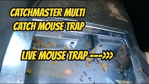 Catchmaster Multi Catch Mouse Trap (Works Great!!!)