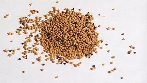 Engineering Probability Lecture 15: Joint expectations; correlation and covariance