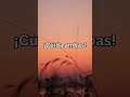 #saludmental #mentalhealth #motivation #motivation #youtubeshorts #fypシ゚viral