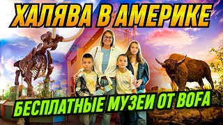 Культурные выходные в США / Бесплатные билеты в музей "Bishop" от Bank of America / Vlog USA